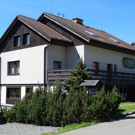 Pension Arnika Дестне в Орлицки хора Екстериор снимка